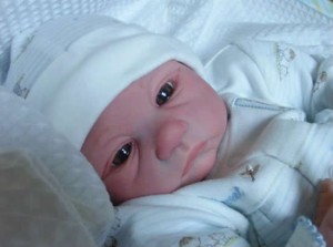 where can you buy reborn dolls